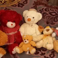 تعداد  ۱۲ عدد عروسک های قشنگ وبادوام