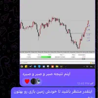 آموزش خصوصی و تک نفره بازار فارکس|خدمات آموزشی|رفسنجان, |دیوار