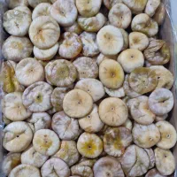 انجیر درجه یک