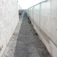 گلخانه فروشی|فروش دفتر صنعتی، کشاورزی، تجاری|پاکدشت, پاکدشت (مامازند)|دیوار