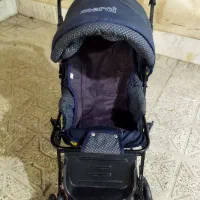 کالسکه سالم دلیجان