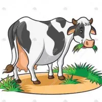 کارگر گاوداری