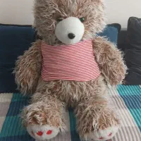 تعدادی عروسک خرس سگ خرگوش
