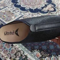 دمپایی طبی|کیف، کفش، کمربند|لاهیجان, کاروانسرابر|دیوار