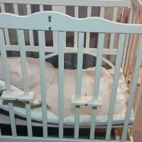 تخت کنار مادر ، ترک|تخت و صندلی بچه|تهران, سازمان برنامه جنوبی|دیوار