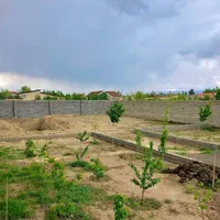 زمین باغی۷۴۰متر ابتدا جاده گلمکان(گاوترنا) گلستان۳|فروش زمین و ملک کلنگی|مشهد, آزادشهر|دیوار