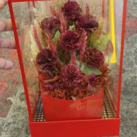 باکس گل شیشه ای