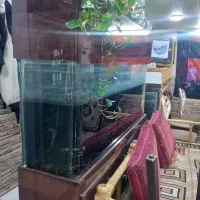 آکواریوم شیشه خم