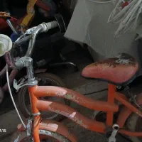 دوچرخه سالم