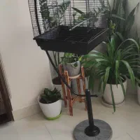قفس پرنده بهمراه وسایل جانبی