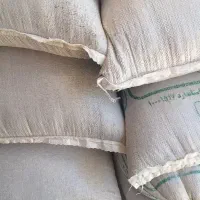گندوم درجه یک
