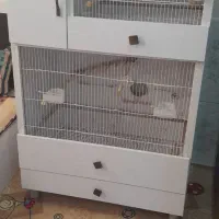 قفس پرنده بزرگ وجادار