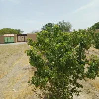 زمین-باغی-و-کشاورزی-دو-نبش-مناسب-سرمایه-گذاری