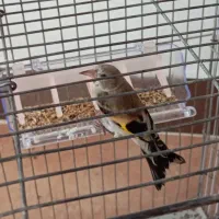 نیازمند وام تا ۵۰ میلیون