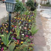 خدمات باغ و باغبانی ،شیراز باغبان|خدمات باغبانی و درختکاری|شیراز, دکتر حسابی|دیوار