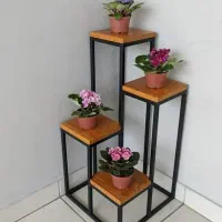 تولید رگال|فروشگاه و مغازه|ایوانکی, |دیوار