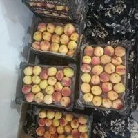 هلو درجه یک شیرین