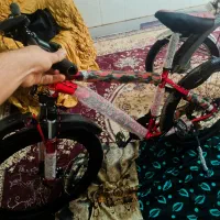 دوچرخه‌رویال