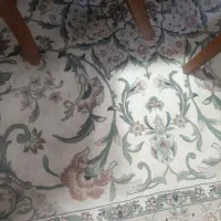 257374|فرش|تنکابن, |دیوار