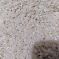 برنج کامفیروزی و خرده برنج کامفیروزی درجه یک بشرط|خوردنی و آشامیدنی|شیراز, شهرک دارایی|دیوار