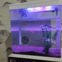 اکواریوم دلسا