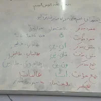 تدریس عربی از مبتدی تا دانشگاه