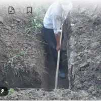 تخریب،بنای،کاشیکاری،پی کنی،جابه جایی بار|خدمات پیشه و مهارت|رشت, حمیدیان|دیوار