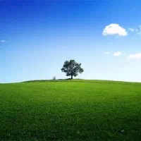 زمین فروشی فلکه حافظ