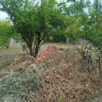 فروش زمین خوش قیمت در نزدیکی کوه