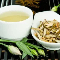 آموزش جذاب طب سنتی رایگان