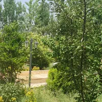 ۲۵۰متر چهاردیواری دونبش/شهرکی/کردان/شهرک زعفرانیه|فروش زمین و ملک کلنگی|کرج, کوی امامیه|دیوار