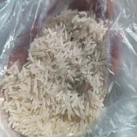 برنج فجر سوزنی پاییزه