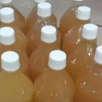 آبغوره درجه یک دشمنزیاری اصل ارگانیک، مغز گردو