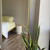 آینه فلزی گنبدی ساده|آینه|بروجرد, |دیوار