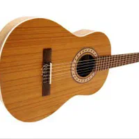 گیتار پارسی|گیتار، بیس، امپلیفایر|تهران, جمهوری|دیوار