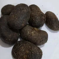 عنبر نسا درجه یک