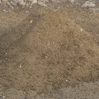 کود گوسفند