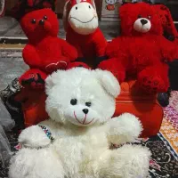 ۶ عروسک خارجی درحد فوری به فروش می‌رسد زیر قیمت