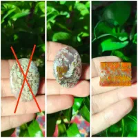 سنگ شجر فردوس پولیش شده درجه 1