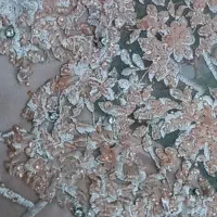 لباس مجلسی کارشده|لباس|لاهیجان, گلستان|دیوار