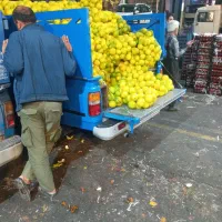 حمل باربرگشتی همه روزه از تهران به گرمسار|خدمات حمل و نقل|گرمسار, |دیوار