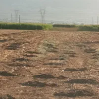 اجاره زمین کشاورزی آبی دیناروند|اجارهٔ دفتر صنعتی، کشاورزی، تجاری|خرمآباد, |دیوار