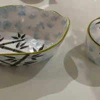 ظروف پذیرایی