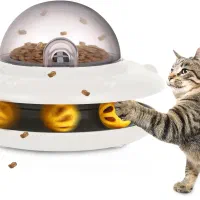 گربه خانگی برای فروش رنگهای سفید و خاکستری