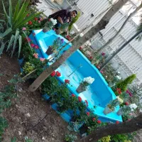 باغبانی، باغچه، سمپاشی و کود،هرس، پاسیو|خدمات باغبانی و درختکاری|تهران, دولاب|دیوار