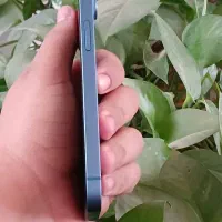 آیفون 13 نرمال ch|موبایل|کرمان, |دیوار