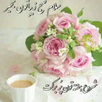 مدارک گمشده