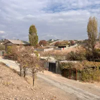 زمین ۲۵۰ متری در روستا کوشک زر