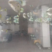 ماهی گوپی|ماهی|نجفآباد, باهنر|دیوار