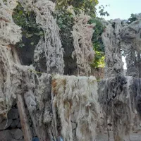 تولید پشم گوسفند و تشک و لحاف و بالش|رختخواب، بالش، پتو|جلفا, |دیوار
